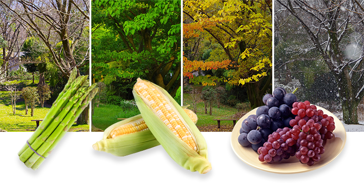 旬のカレンダー